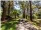 Lindendale NSW 2480