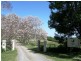 185 Cooks Lane, Dalwood NSW 2477