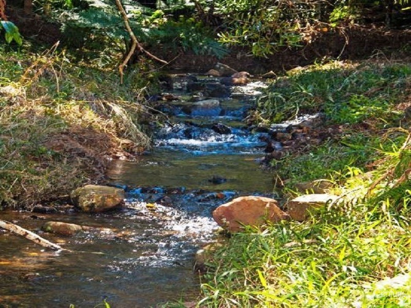 Alstonville NSW 2477