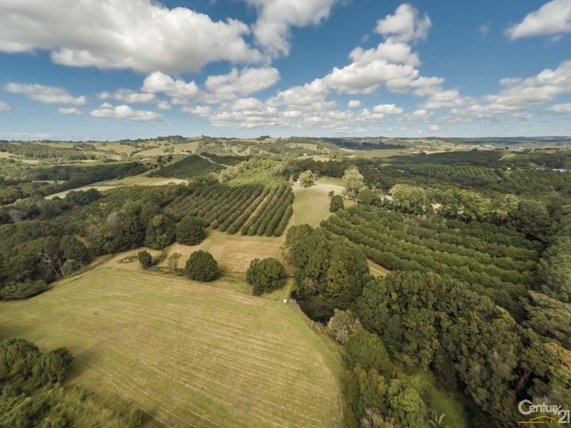 45 Kings Road, Nashua NSW 2479