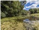 45 Kings Road, Nashua NSW 2479