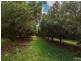 45 Kings Road, Nashua NSW 2479