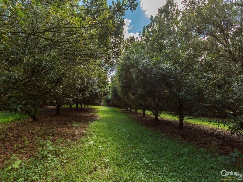 45 Kings Road, Nashua NSW 2479