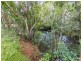 45 Kings Road, Nashua NSW 2479