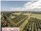 250 Dalwood Road, Dalwood NSW 2477