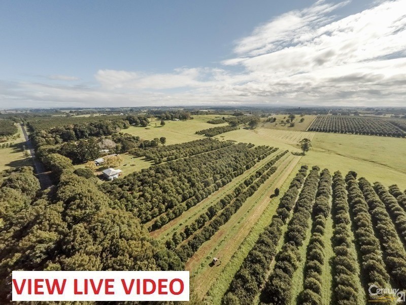 250 Dalwood Road, Dalwood NSW 2477