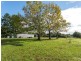 250 Dalwood Road, Dalwood NSW 2477