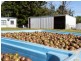 250 Dalwood Road, Dalwood NSW 2477
