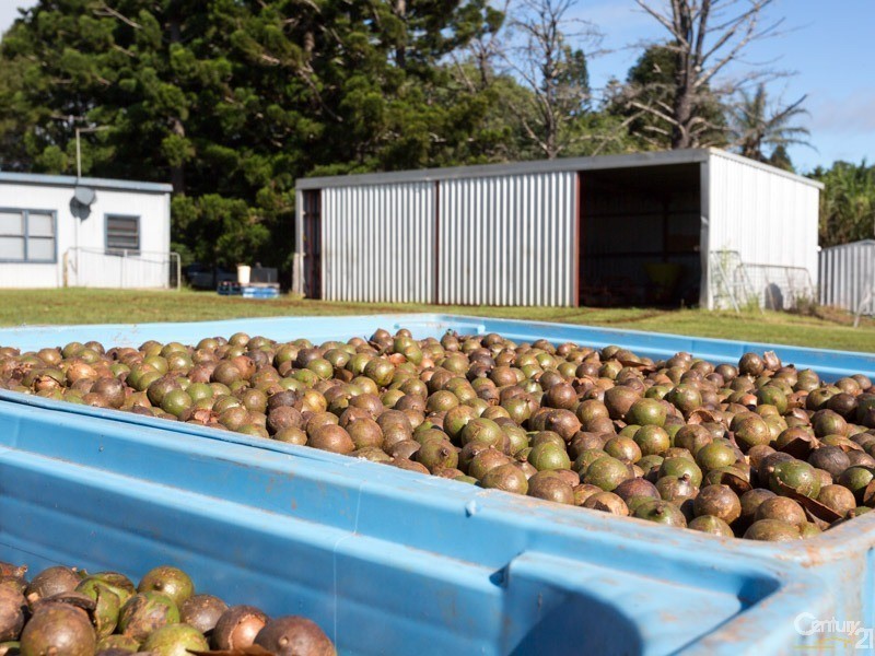 250 Dalwood Road, Dalwood NSW 2477