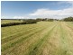 250 Dalwood Road, Dalwood NSW 2477