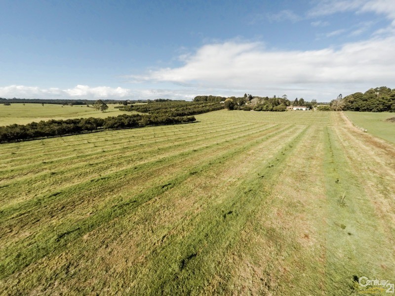 250 Dalwood Road, Dalwood NSW 2477