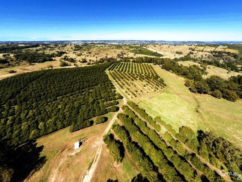 Booerie Creek NSW 2480