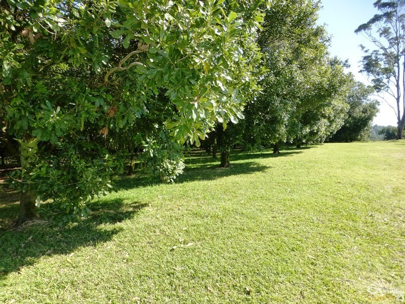 277 Friday Hut Road, Brooklet NSW 2479