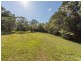 465 Pearces Creek Road, Alstonvale NSW 2477