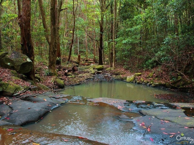 265 Bartlett’s Lane, Meerschaum Vale NSW 2477