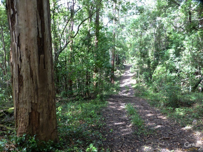 265 Bartlett’s Lane, Meerschaum Vale NSW 2477