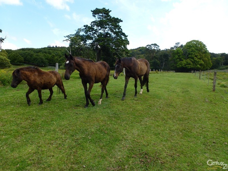 265 Bartlett’s Lane, Meerschaum Vale NSW 2477