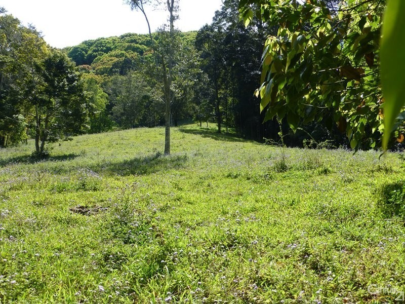 265 Bartlett’s Lane, Meerschaum Vale NSW 2477