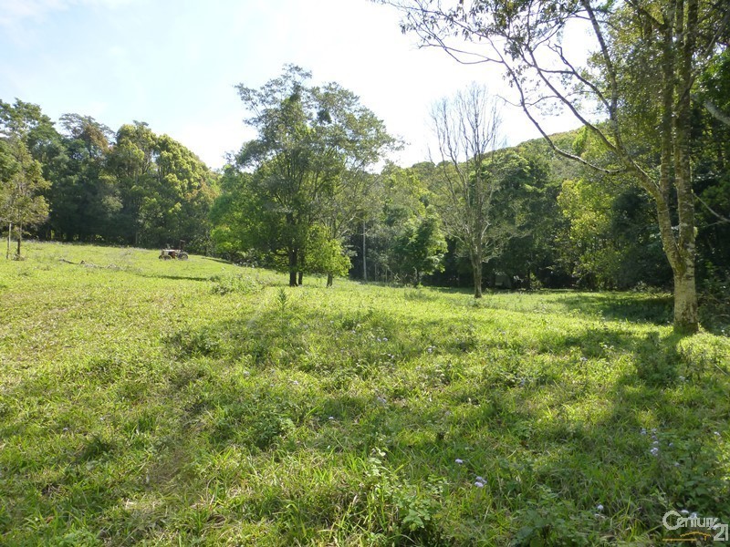 265 Bartlett’s Lane, Meerschaum Vale NSW 2477