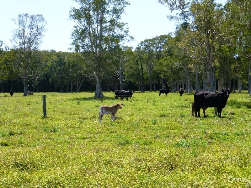 Marom Creek NSW 2480