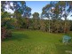 441 Rous Road, Tregeagle NSW 2480