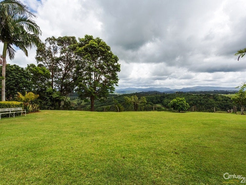 58 Funnell Drive, Modanville NSW 2480