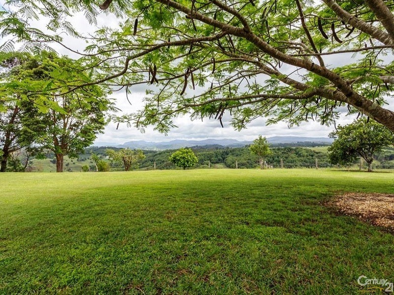 58 Funnell Drive, Modanville NSW 2480