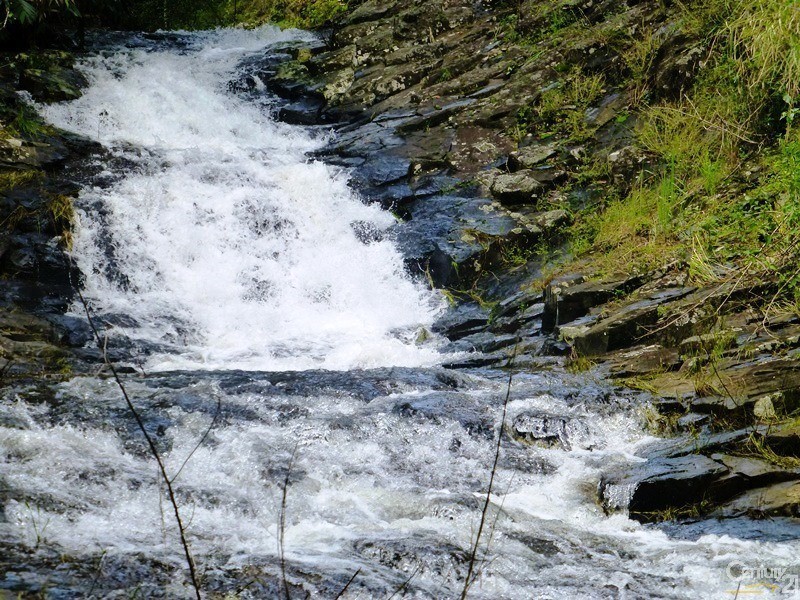 460 Marom Creek Road, Meerschaum Vale NSW 2477