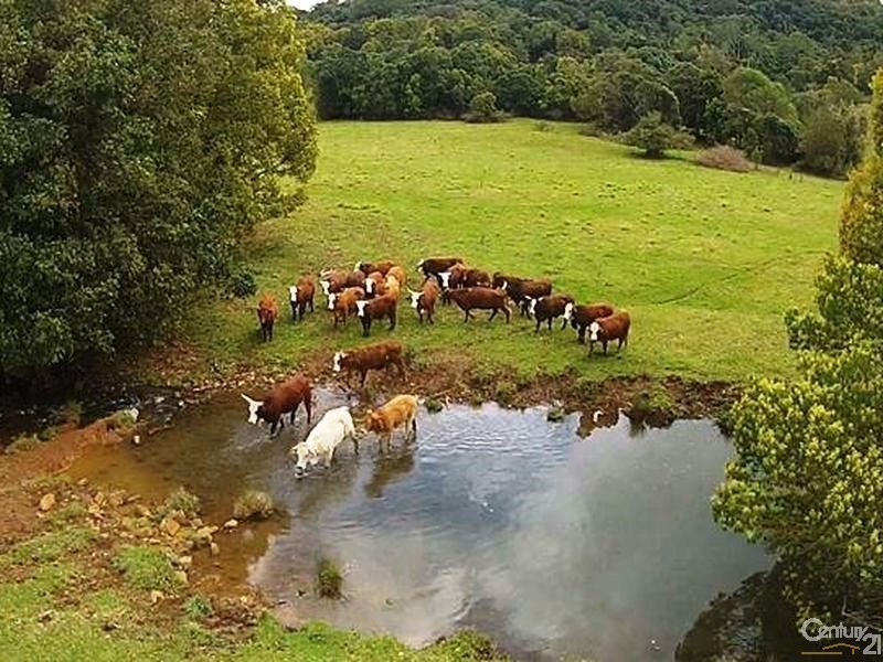 460 Marom Creek Road, Meerschaum Vale NSW 2477