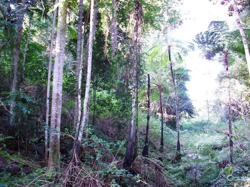 460 Marom Creek Road, Meerschaum Vale NSW 2477