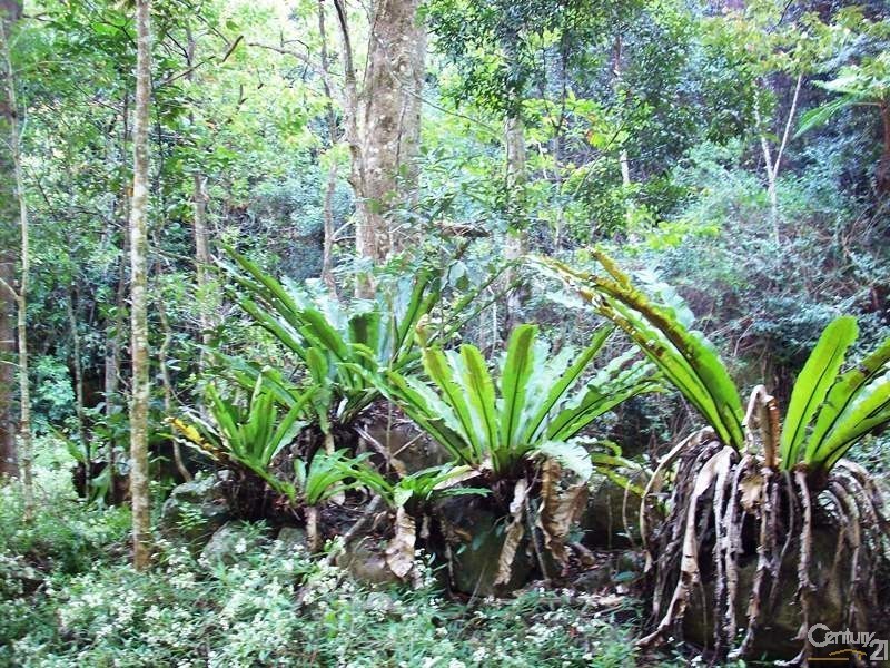 460 Marom Creek Road, Meerschaum Vale NSW 2477