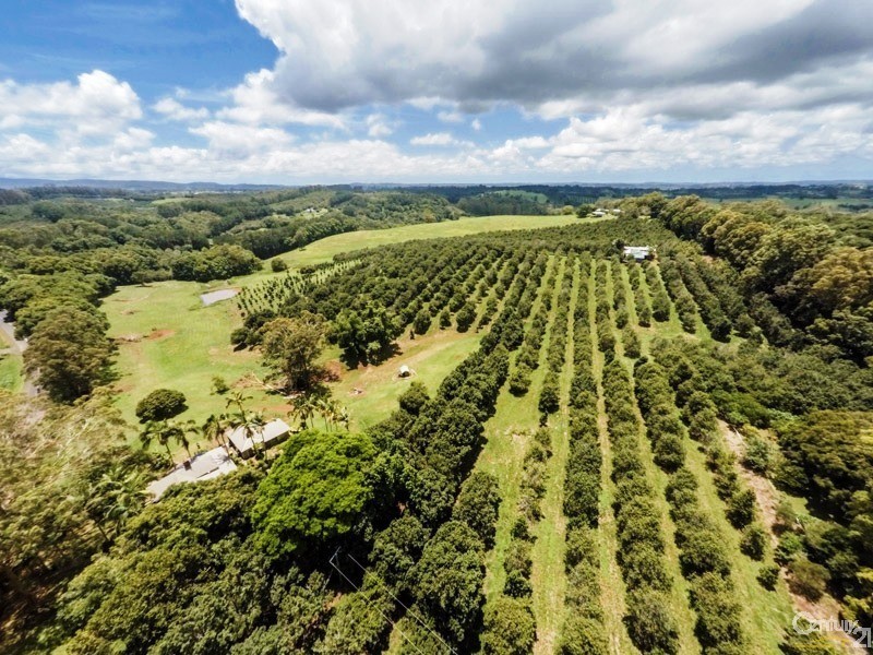 1170 Dunoon Road, Dunoon NSW 2480