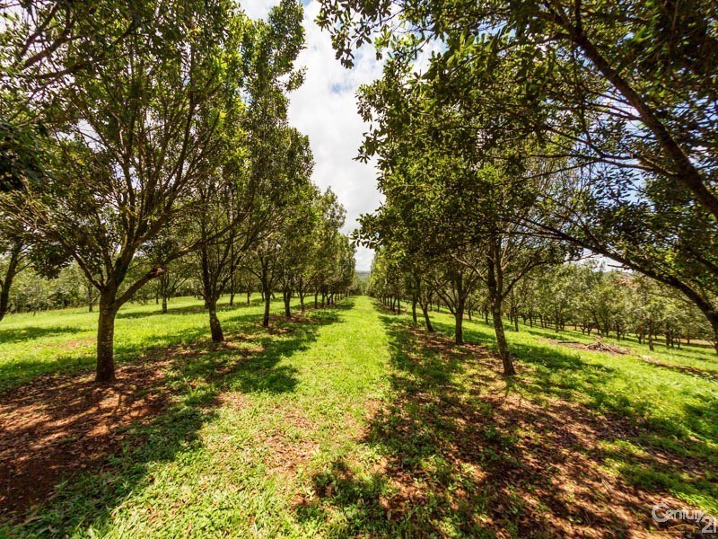 1170 Dunoon Road, Dunoon NSW 2480