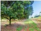 507  Duncan Road, Dunoon NSW 2480