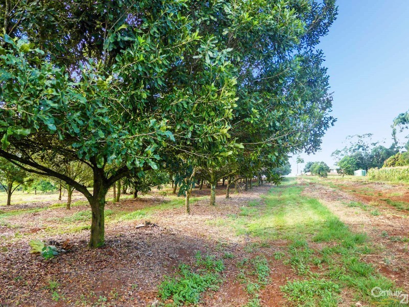 507  Duncan Road, Dunoon NSW 2480
