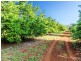 507  Duncan Road, Dunoon NSW 2480