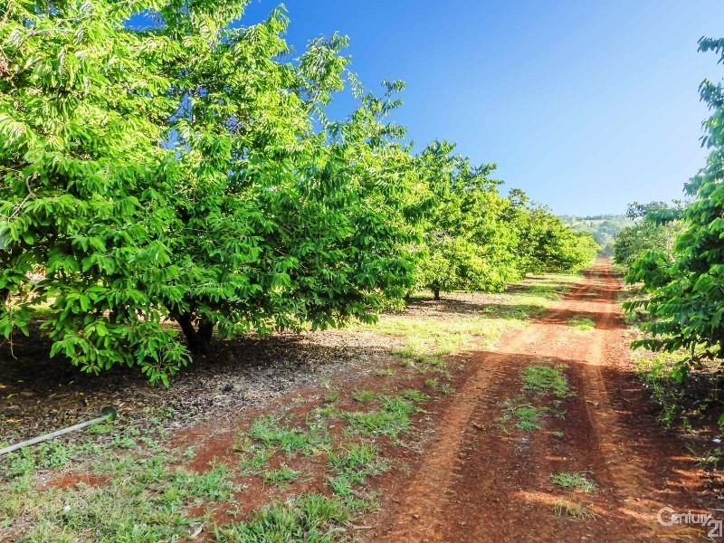 507  Duncan Road, Dunoon NSW 2480