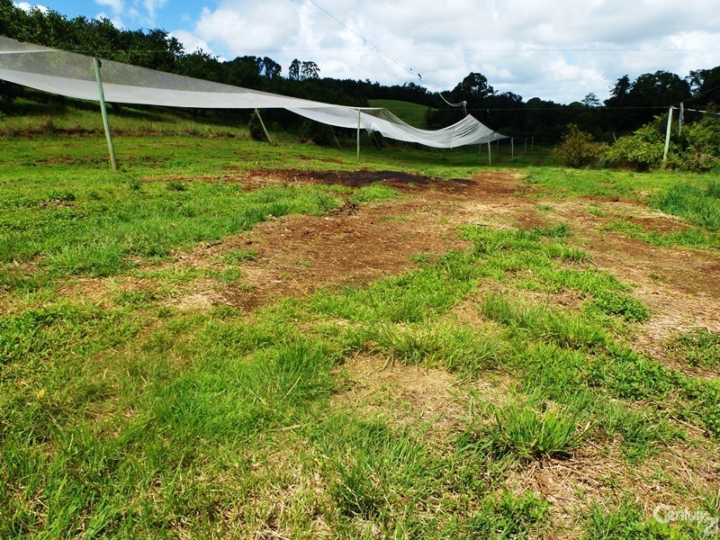 507  Duncan Road, Dunoon NSW 2480