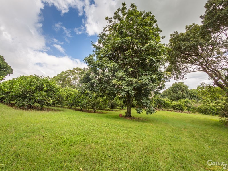 Mcleans Ridges NSW 2480