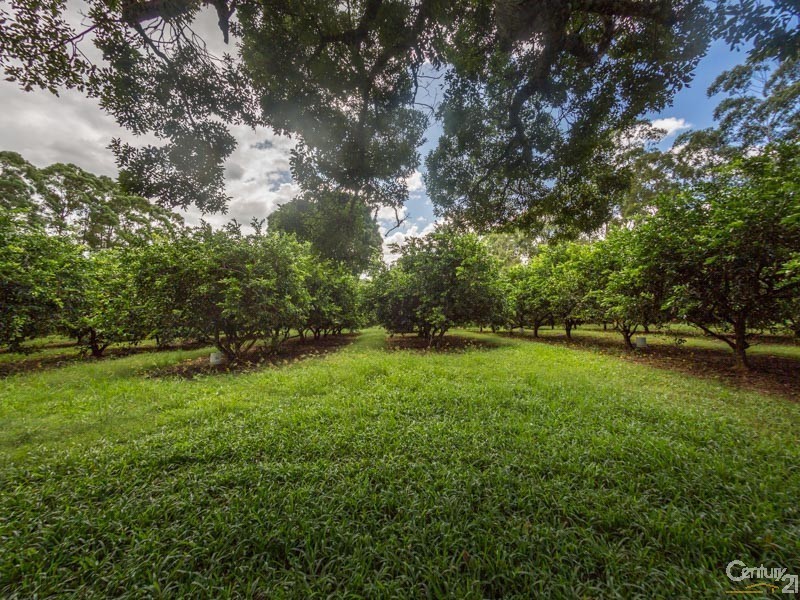 Mcleans Ridges NSW 2480
