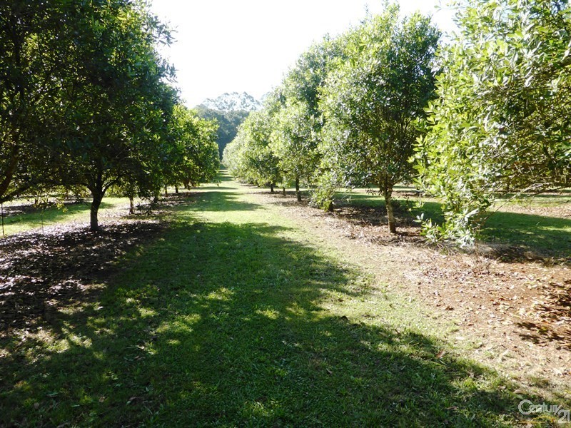 Alstonville NSW 2477