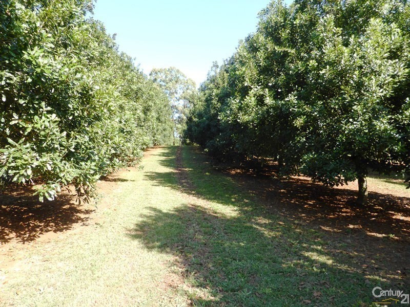 Alstonville NSW 2477