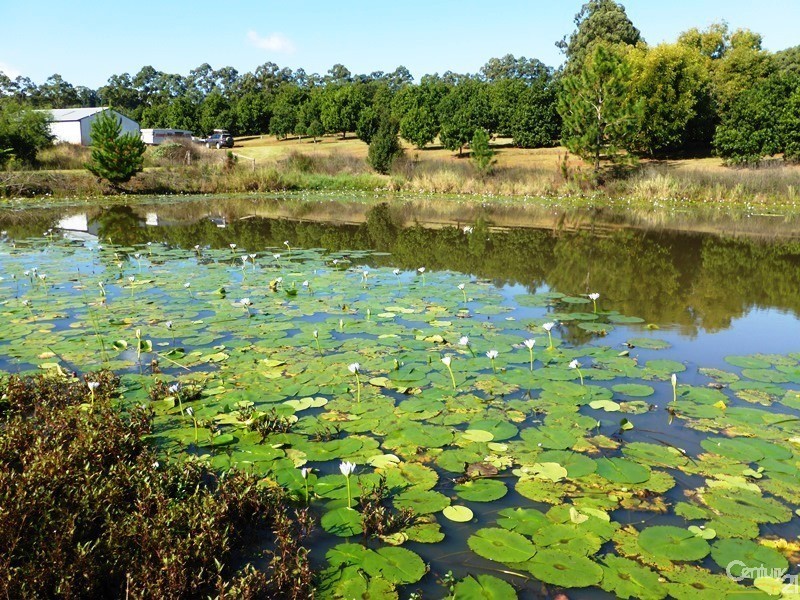 Alstonville NSW 2477