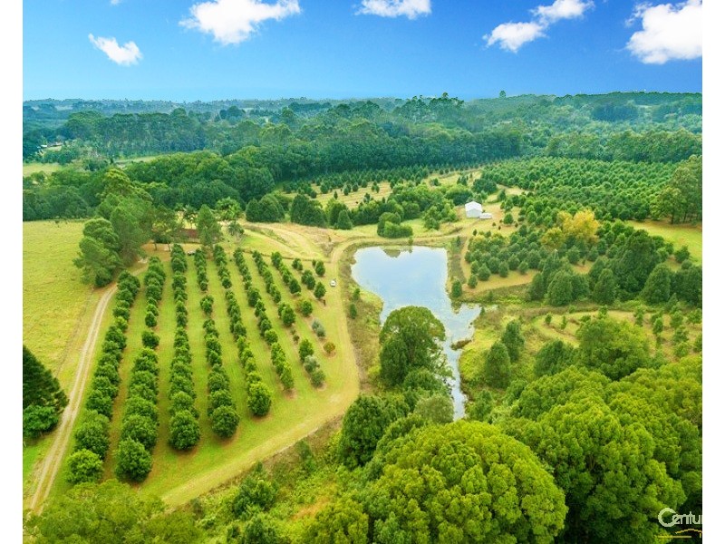 Alstonville NSW 2477