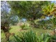 123 James Street, Dunoon NSW 2480
