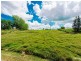 2155 Bruxner Highway, Clovass NSW 2480