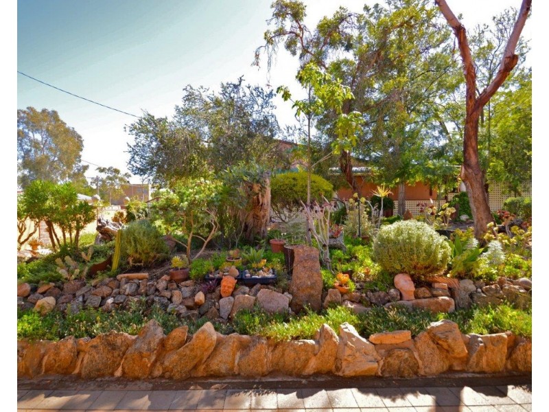 233 Rowe Street, Broken Hill NSW 2880