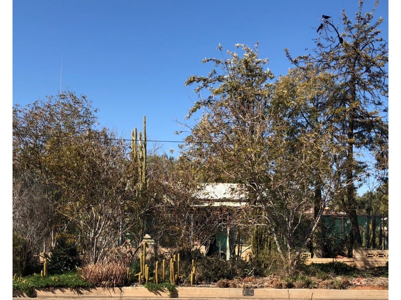 335 Thomas Street, Broken Hill NSW 2880