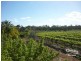 178 BUDGIE STREET, Menindee NSW 2879