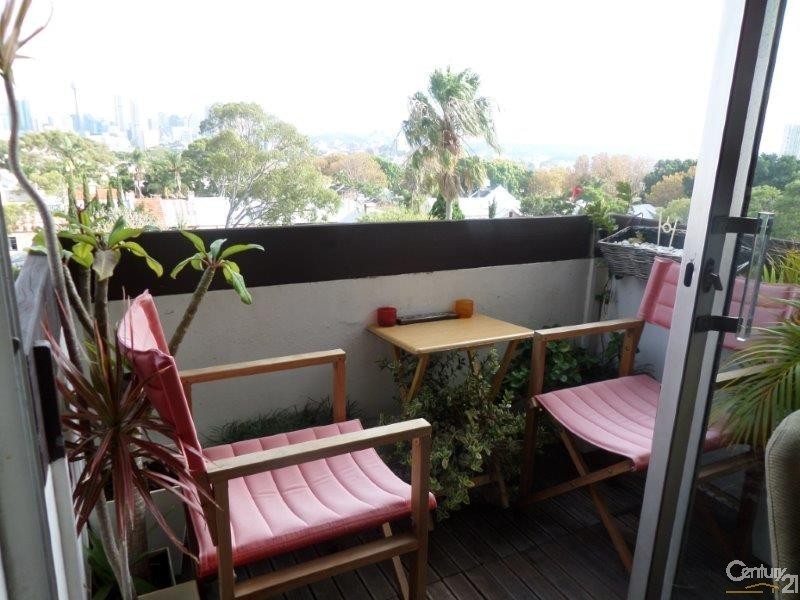 52/237 Underwood Street, Paddington NSW 2021